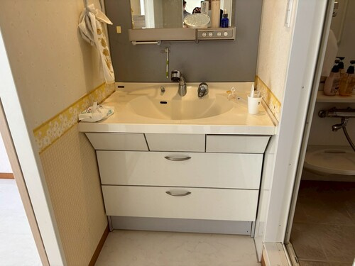 アルファステイツ北久保の独立洗面台