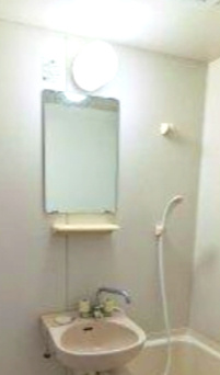 メゾンリュートの洗面所