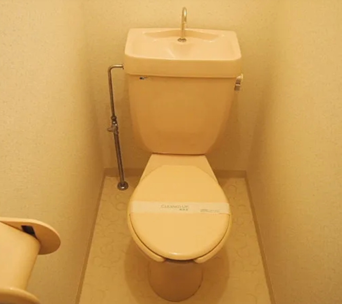 メゾンリュートのトイレ