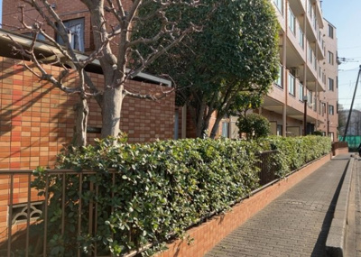 【庭】 | ボヌールガーデン相模大野 | 物件によっては、入居者が個人的に使用できる専用庭がついているものもあります。また、住宅の中にある土間の部分を庭と呼ぶこともあります。庭の用途は住む人によって変わり、それによってデザインもさまざまです。