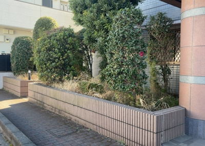 【中庭】 | シャローム橋本 | 中庭（パティオ）とは、一つの建築物の内部に設けられた、壁などで囲われている庭のことを指します。コの字型、ロの字型が主流ですが、L字型の中庭もあります。最近では、インテリア性の高さからも人気があります。
