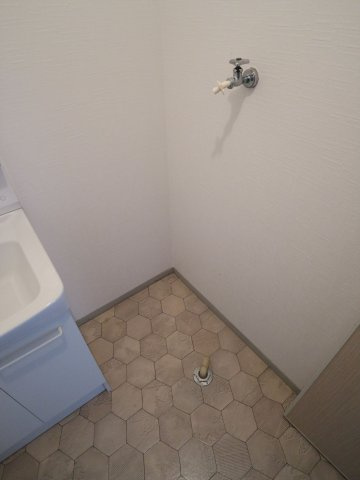 ホワイトハイツFの洗面所