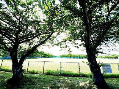 【周辺】 | ファミール　さくら | 厚原スポーツ公園まで600m