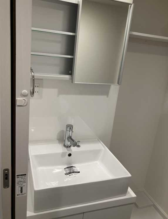 RJカーサ松陰神社　ネット無料　駅近　ペット相談の洗面所