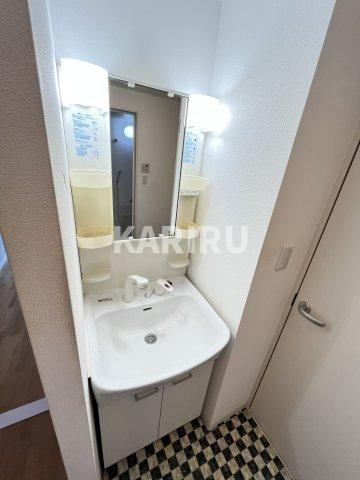 ロネスタ新深江の洗面所