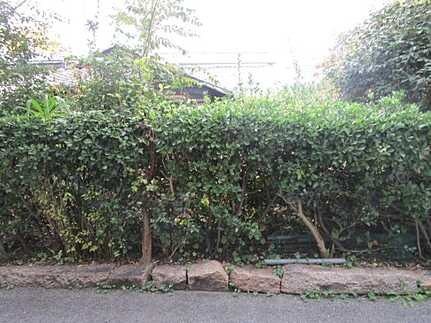 広島市東区牛田本町1丁目　土地(JS)の外観