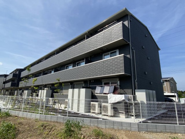 AALII（アアリイ）　Ⅰの画像