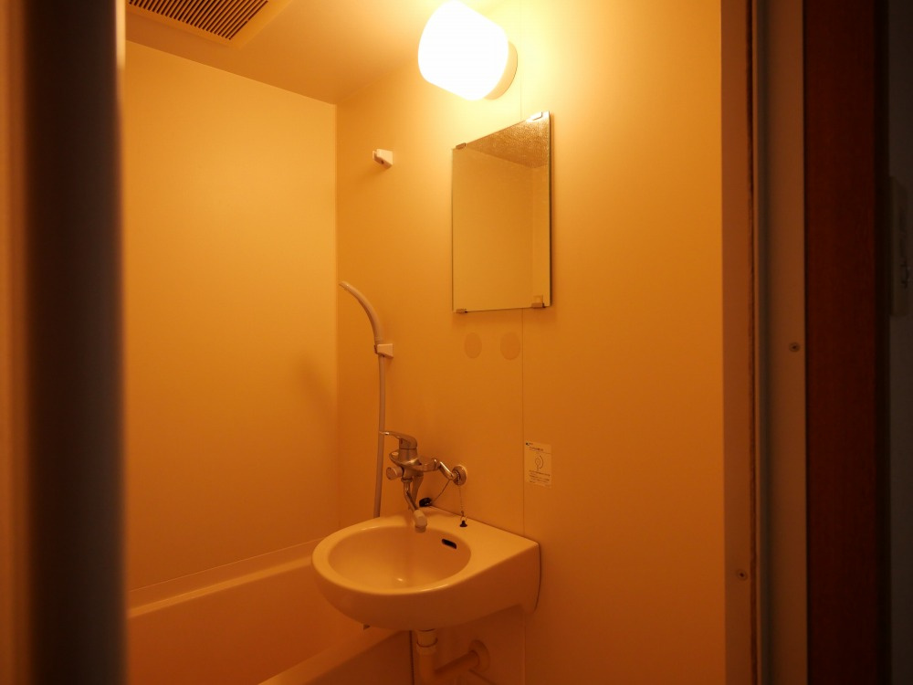 ドムール緑橋の洗面所