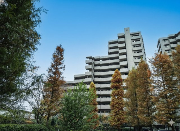 Hills KUGAHARA nibann-kanの画像