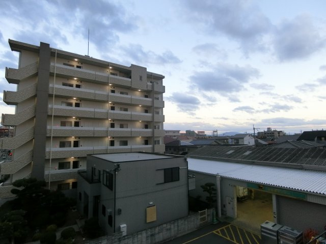 Labrise verteの展望