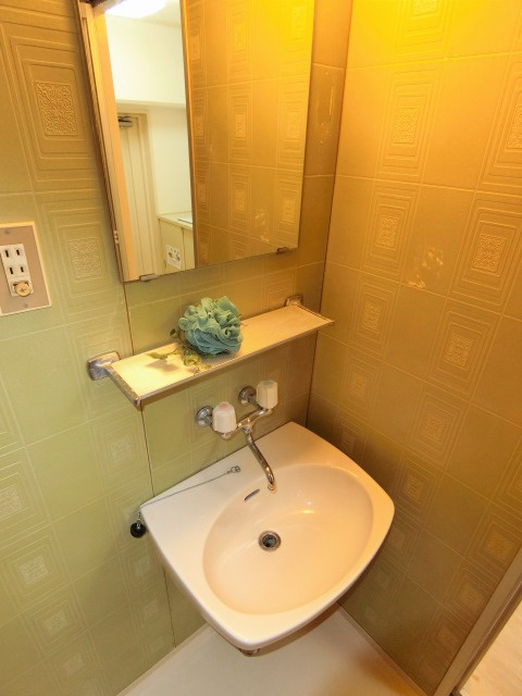 ラパンジール京橋の洗面所