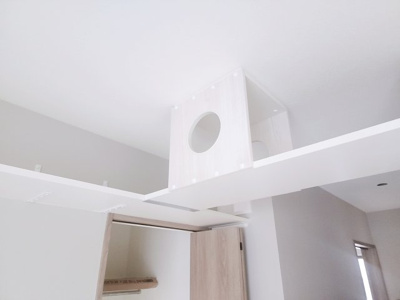 【その他】 | Le chat roux （ルシャルー） | キャットウォーク