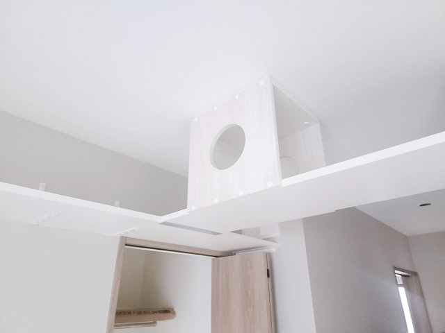 【その他】 | Le chat roux （ルシャルー） | キャットウォーク