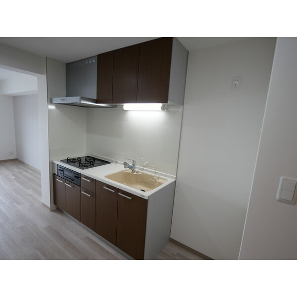 シェルメール住吉本町のキッチン