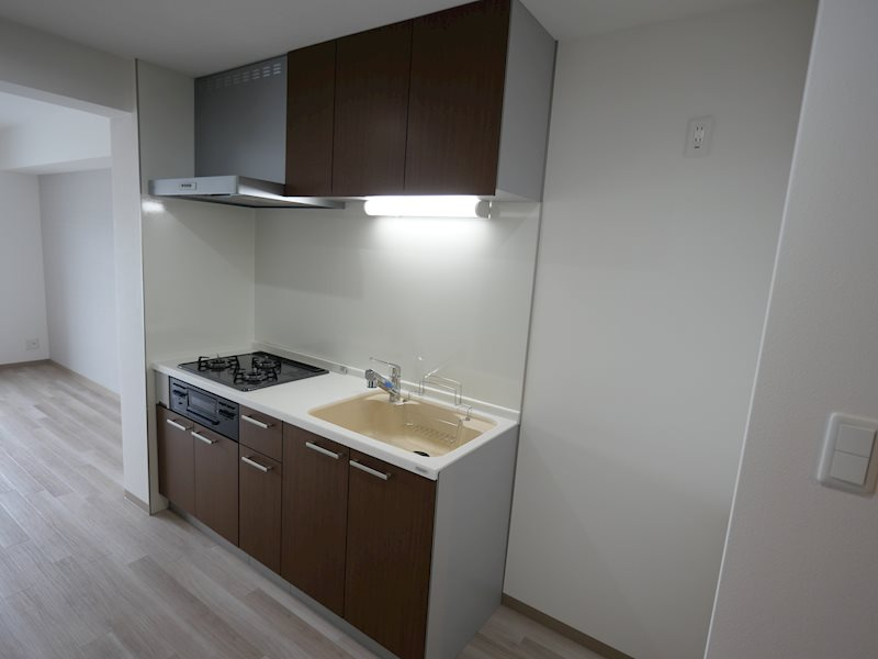 シェルメール住吉本町のキッチン