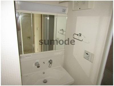 エストラーダブランカ下中条の洗面所