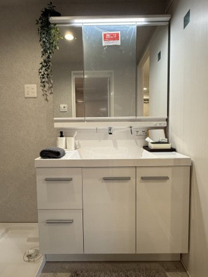 【独立洗面台】 | レーベン三宮