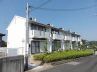 西浦ハイエリーナの画像