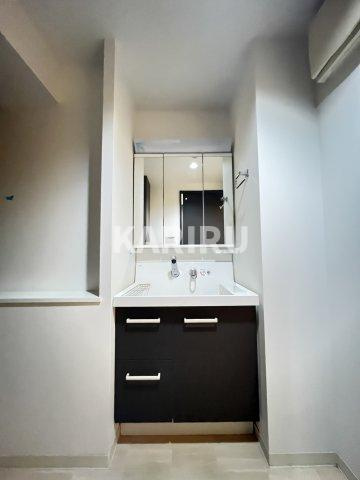 ラフィーネレジデンスの洗面所