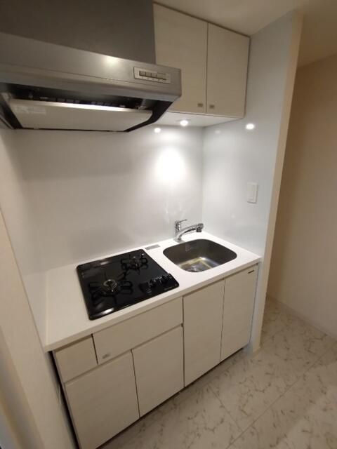 GENOVIA隅田川west skygardenのキッチン