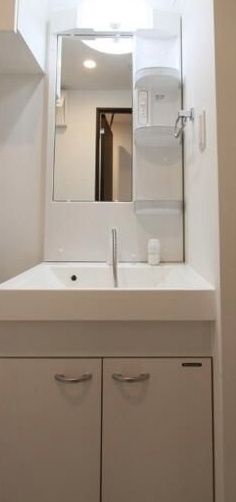 MAXIV亀戸水神GENOVIA skygarden の洗面所