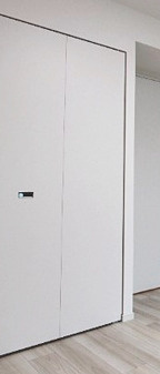 レアライズ両国 の収納|クローゼット