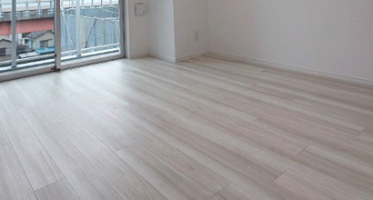 レアライズ両国 の居間・リビング