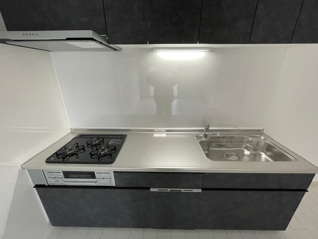 伏見日光ハイツ2号棟のキッチン
