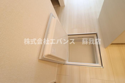  | AALII（アアリイ）Ｉ