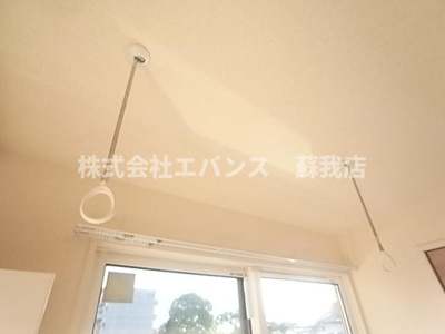  | AALII（アアリイ）Ｉ