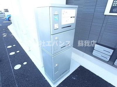  | AALII（アアリイ）Ｉ