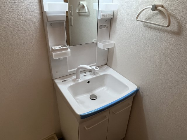 シャトルウェルストンの洗面所