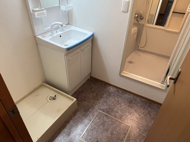 シャトルウェルストンの洗面所