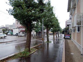 レオパレスピアチェーレのその他