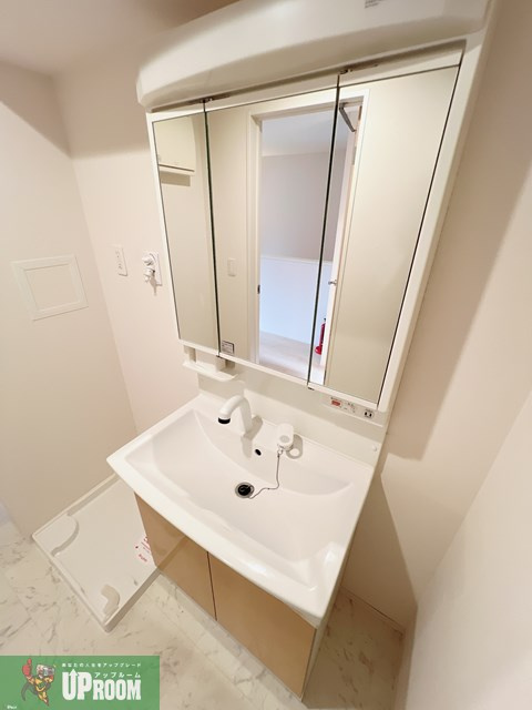 ゴールデンハイム水野の洗面所