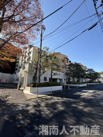 レクセル湘南平塚の外観|外はこのようになっています