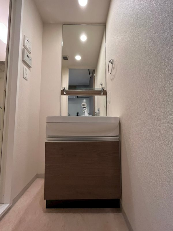 プレサンス松屋町駅前デュオの洗面所