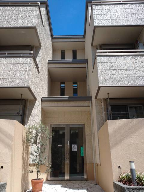 Ｂｅｒｇ Ｃａｐｅ＃の外観