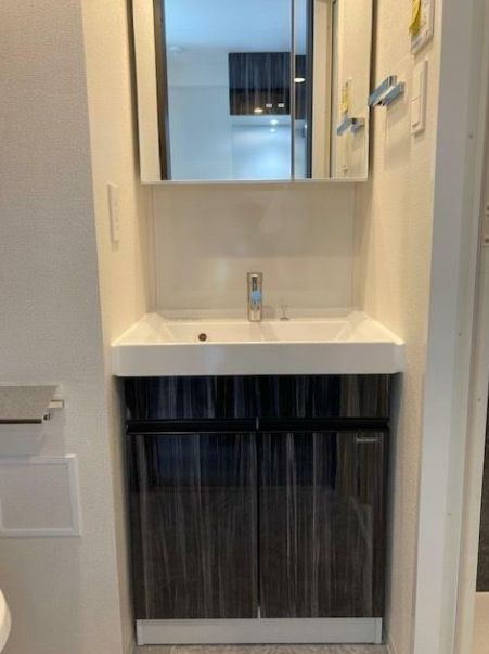 S-RESIDENCE川口Luchiaの独立洗面台