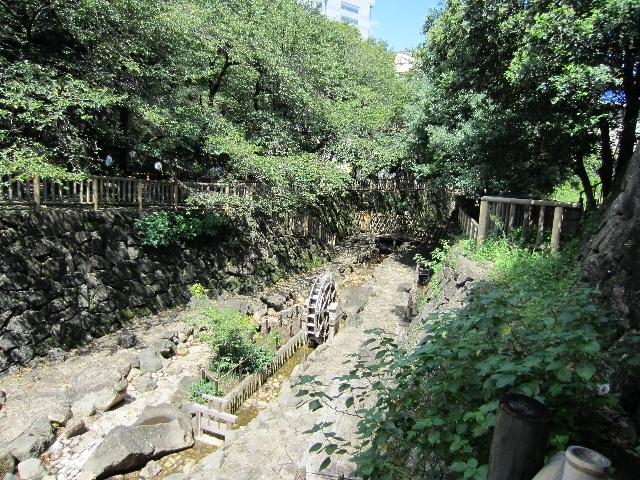 コンシェリア王子飛鳥山のその他|音無親水公園