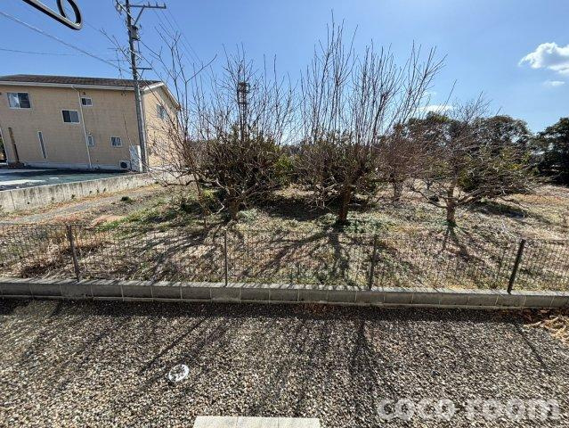 フェリオの展望