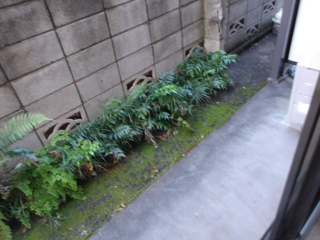 アリィフラッツのその他