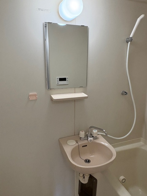 笹屋マンションの洗面所