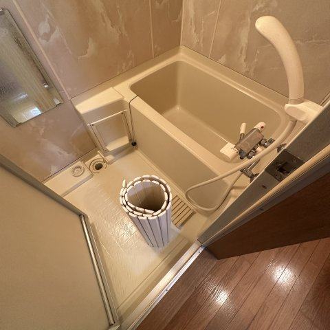 ラ・フォンテーヌの浴室