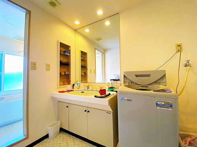 センシブル大仁の洗面所