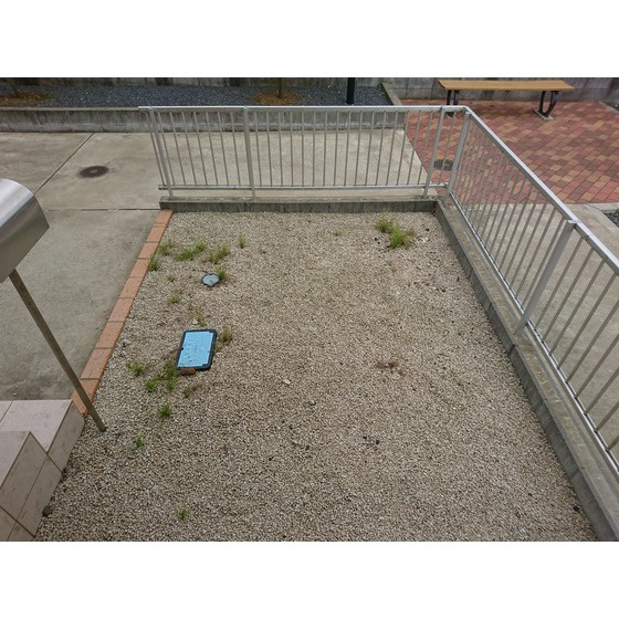 メゾネット佐倉Bの庭