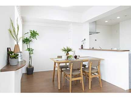 リーベン江波南(JS)の居間・リビング