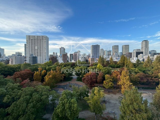 ヴァルトハウスの展望