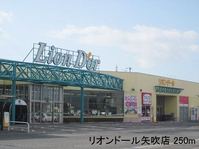 ベルハウス八幡の周辺|リオンドール矢吹店まで250m