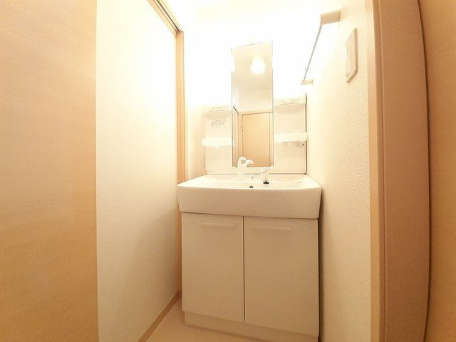 ロベスト・イリーデⅣの洗面所